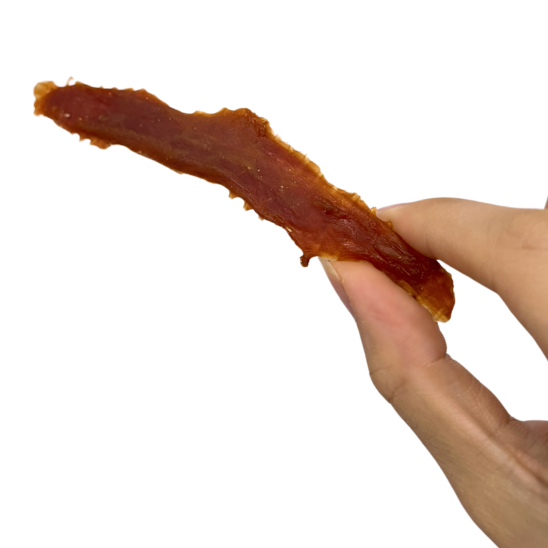 Wanpy Oven-Roasted Duck Jerky 100g Dog Snack image 3