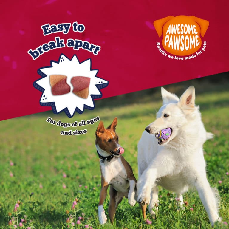 Awesome Pawsome 85g Grain Free Peanut Butter & Cranberry Dog Treat image 3