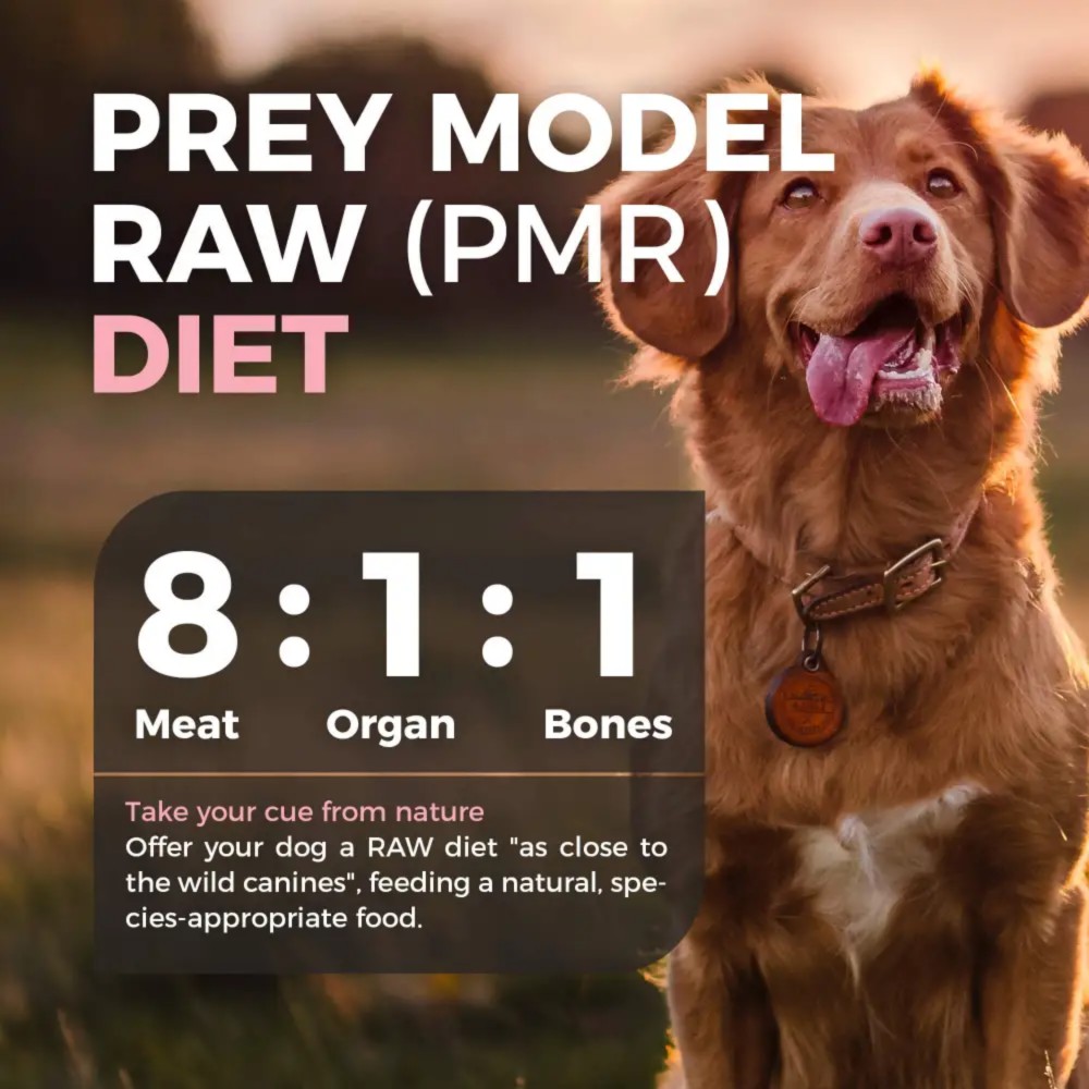 Furry Wonder Dog 226g (8oz) IMMUNE BOOST Freeze-dried Raw Turkey & Chicken Recipe For Dogs image 7