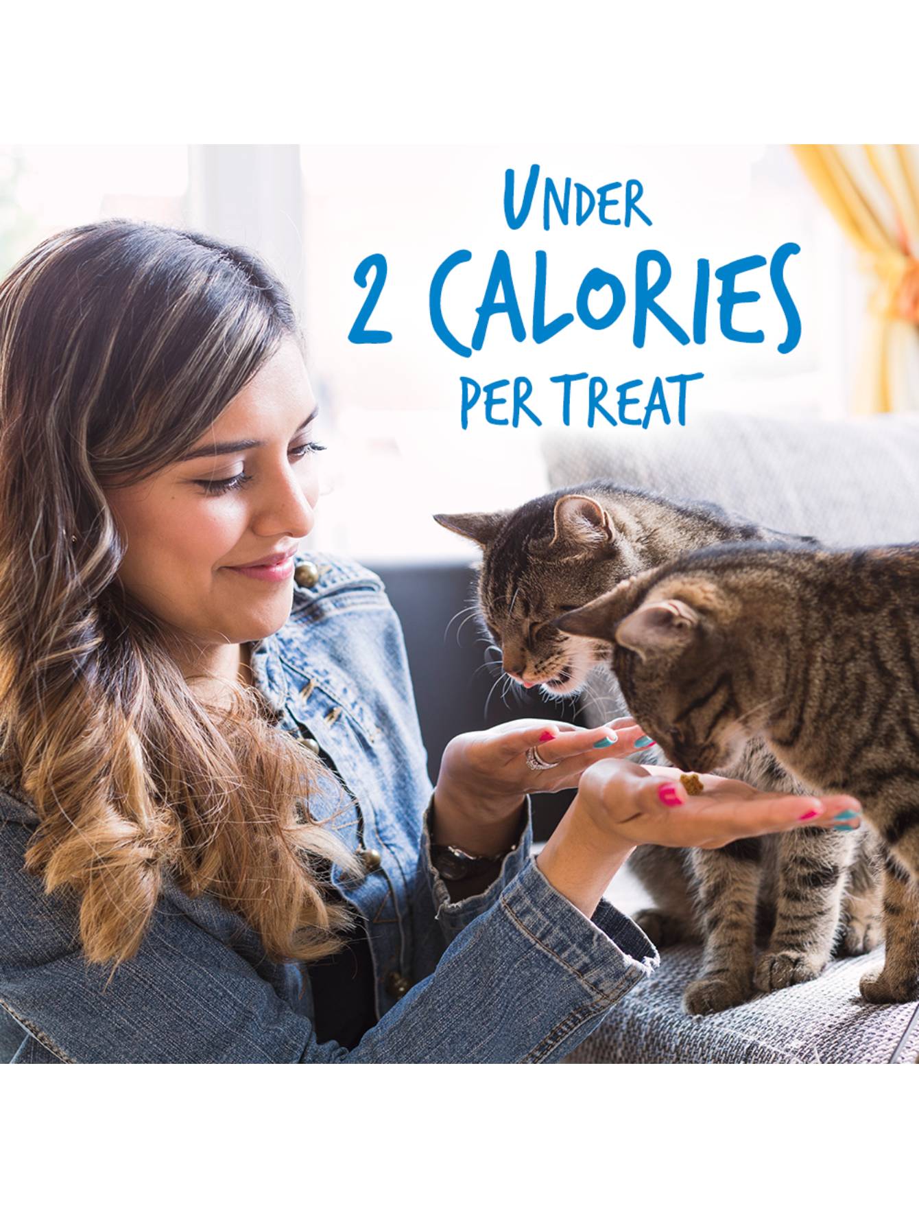 Fruitables Cat 2.5oz Chicken With Blueberry Cat Treat image 7