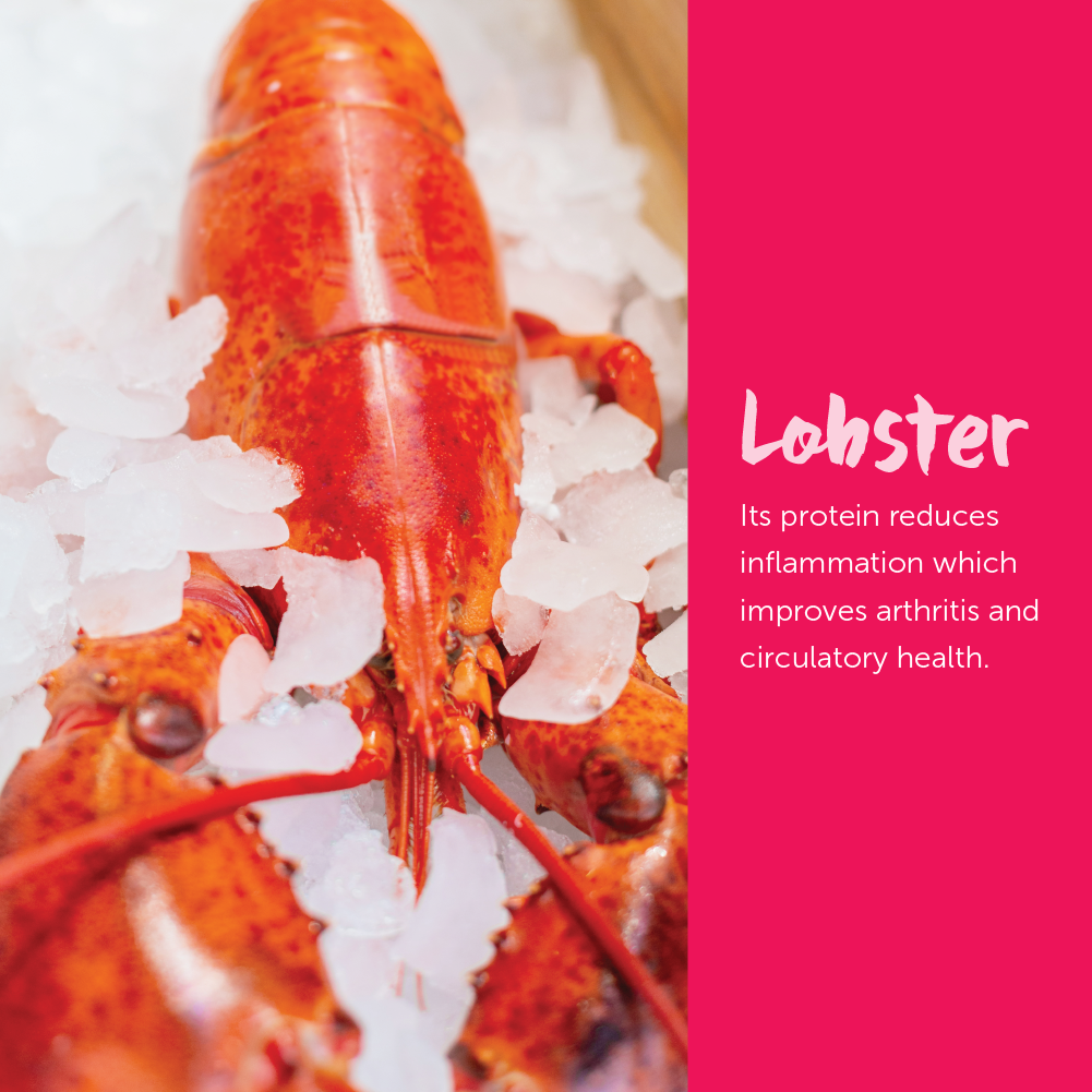 Loveabowl Cat 9.07kg Herring  Salmon and Atlantic Lobster Dry Cat Food image 6