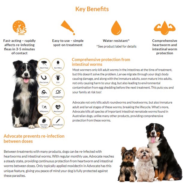 Elanco Advocate Dog 3x0.4ml Spot-on Solution for Small Dogs (Up to 4kg) image 5