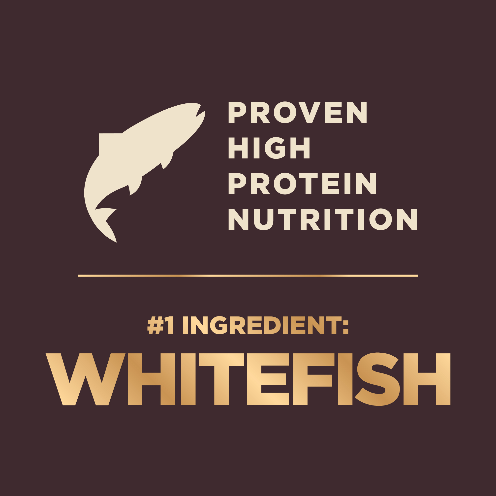 Wellness CORE+ (Formerly RawRev) Dog 9kg (18lb) Ocean with Freeze Dried Salmon Grain Free Dry Dog Food image 6