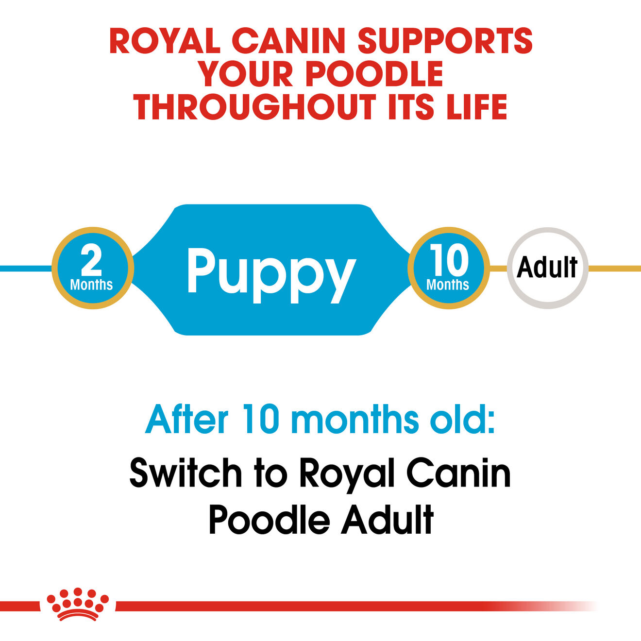 Royal Canin Dog 1.5kg Poodle Puppy Dry Dog Food image 4