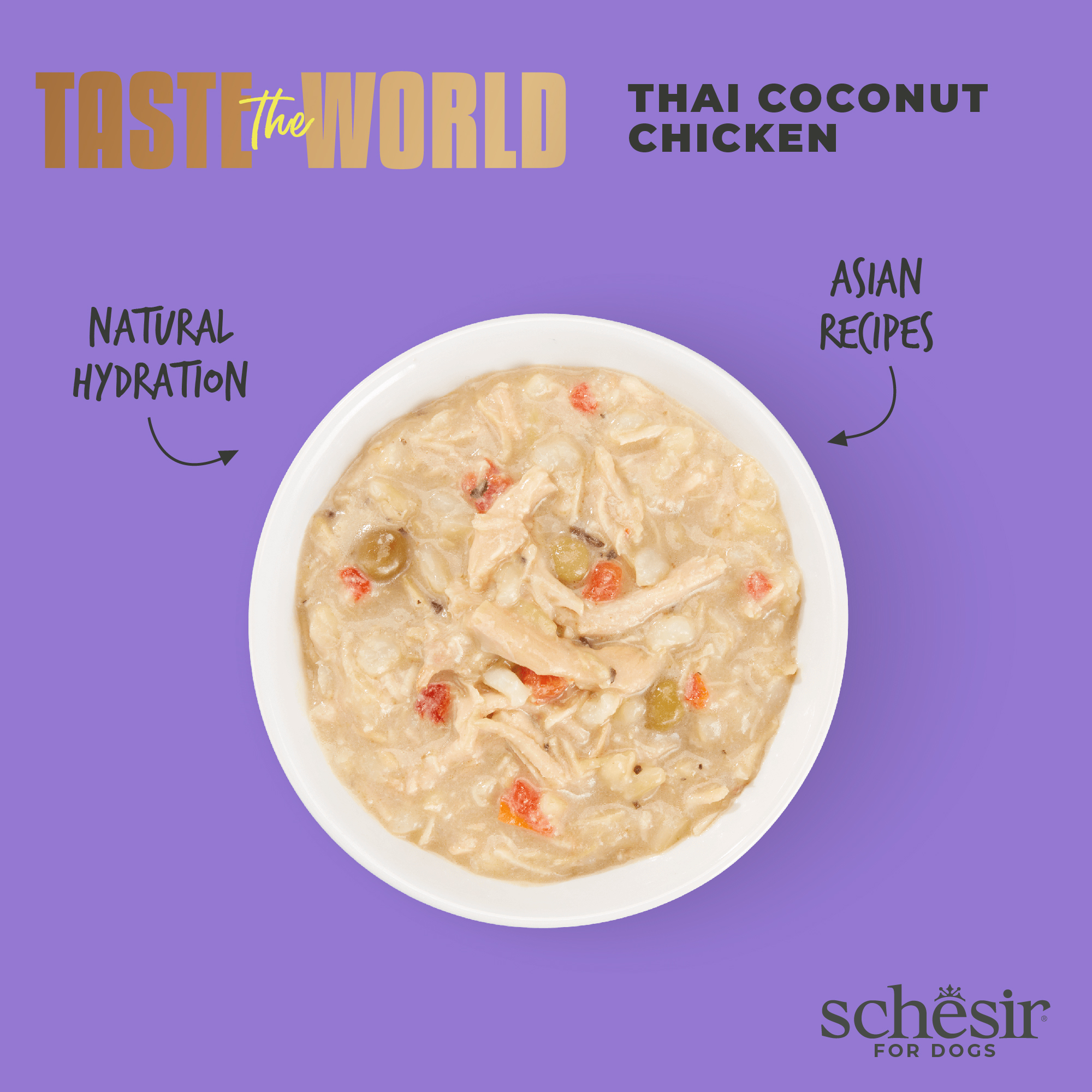 Schesir Dog Taste the World Canned 150g Chicken Thai Coconut in Broth Wet Dog Food image 3