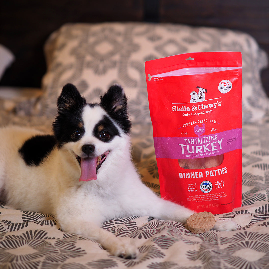 Stella & Chewy's Dinner Patties 14oz (397g) Tantalizing Turkey Dry Dog Food image 4